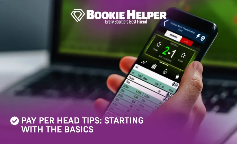 Pay Per Head Tips: Starting with the basics